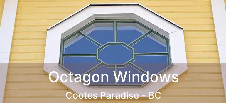  Octagon Windows Cootes Paradise - BC