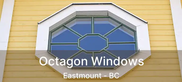  Octagon Windows Eastmount - BC