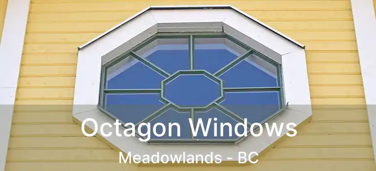  Octagon Windows Meadowlands - BC