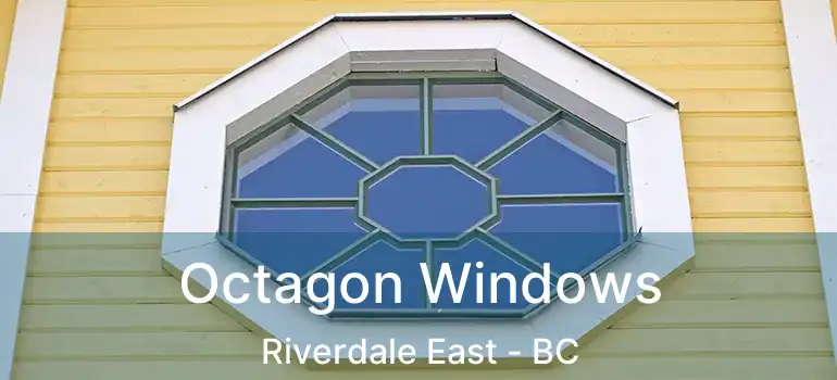  Octagon Windows Riverdale East - BC