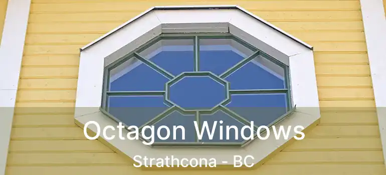  Octagon Windows Strathcona - BC