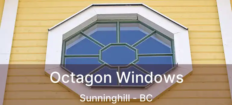  Octagon Windows Sunninghill - BC
