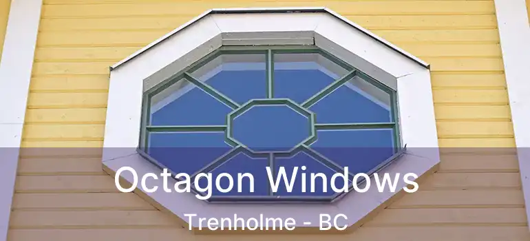  Octagon Windows Trenholme - BC