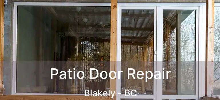  Patio Door Repair Blakely - BC