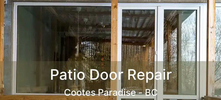  Patio Door Repair Cootes Paradise - BC
