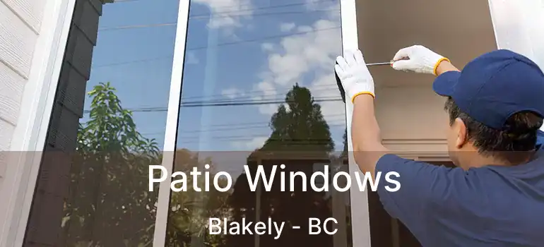 Patio Windows Blakely - BC