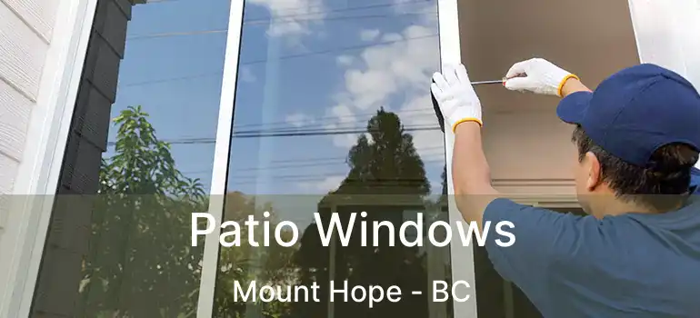  Patio Windows Mount Hope - BC