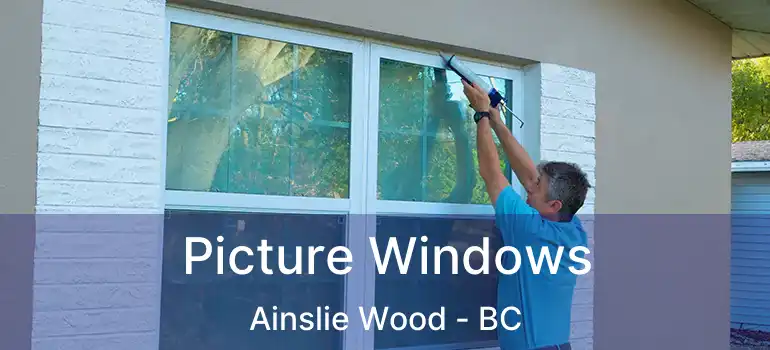  Picture Windows Ainslie Wood - BC