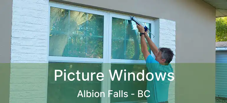  Picture Windows Albion Falls - BC