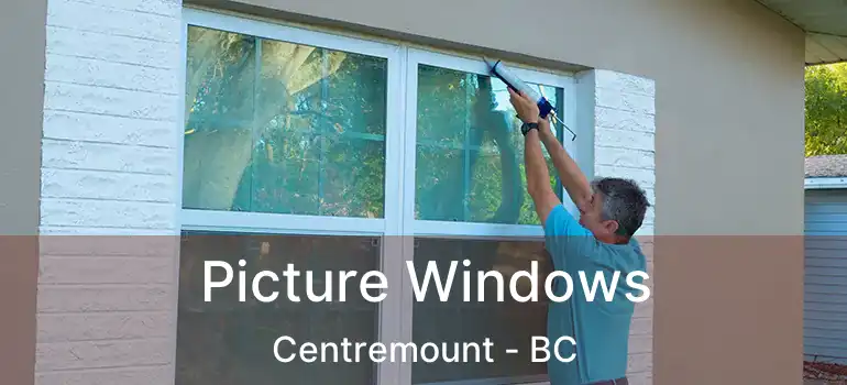  Picture Windows Centremount - BC