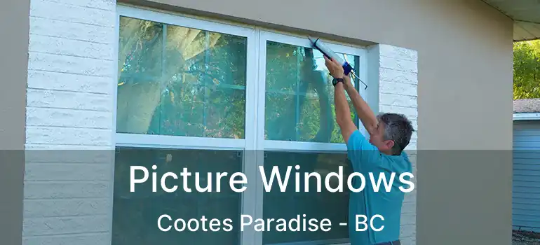  Picture Windows Cootes Paradise - BC