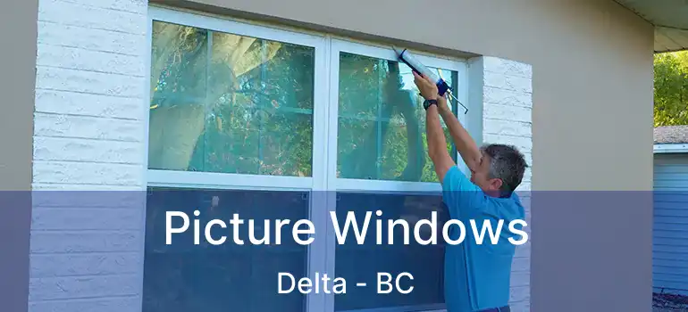  Picture Windows Delta - BC