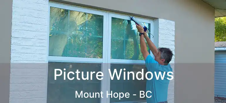  Picture Windows Mount Hope - BC