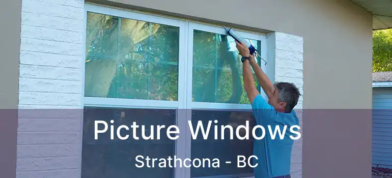  Picture Windows Strathcona - BC