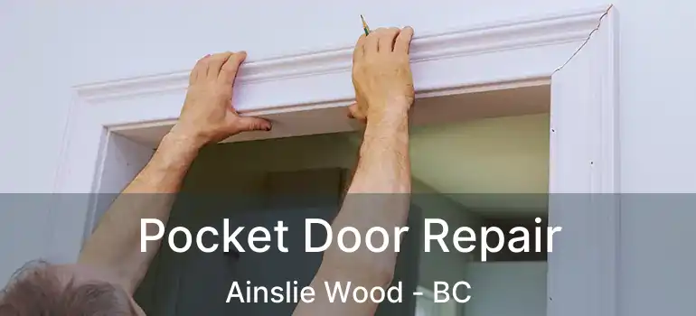 Pocket Door Repair Ainslie Wood - BC