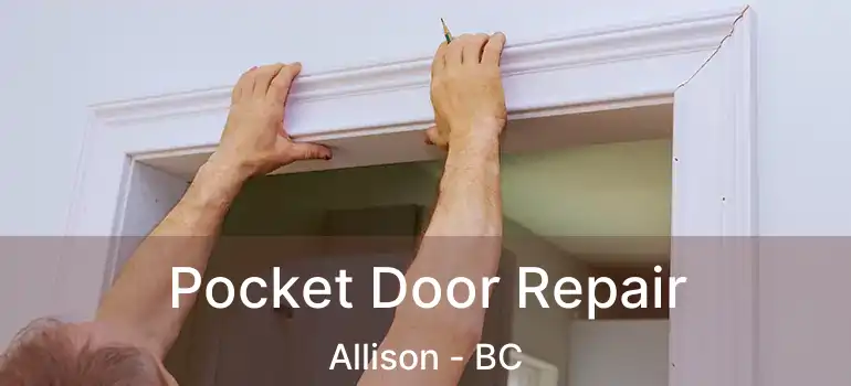  Pocket Door Repair Allison - BC