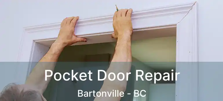  Pocket Door Repair Bartonville - BC