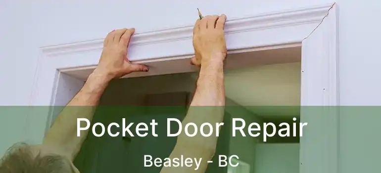  Pocket Door Repair Beasley - BC