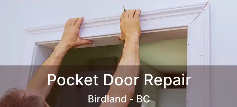  Pocket Door Repair Birdland - BC