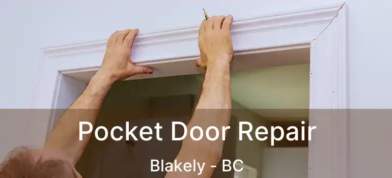  Pocket Door Repair Blakely - BC