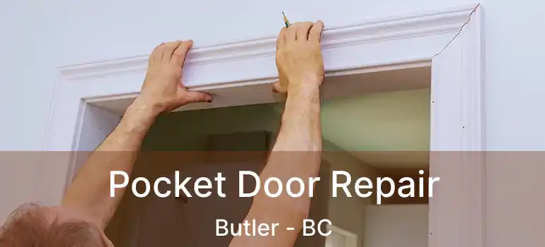  Pocket Door Repair Butler - BC