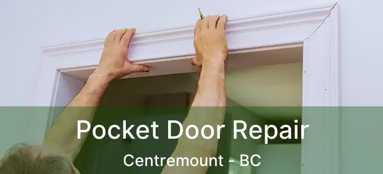  Pocket Door Repair Centremount - BC