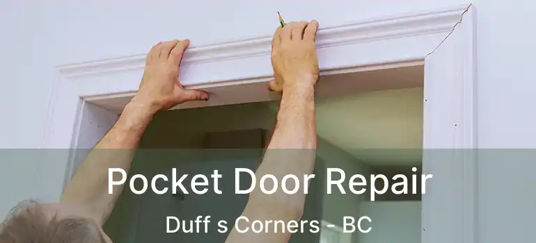  Pocket Door Repair Duff s Corners - BC