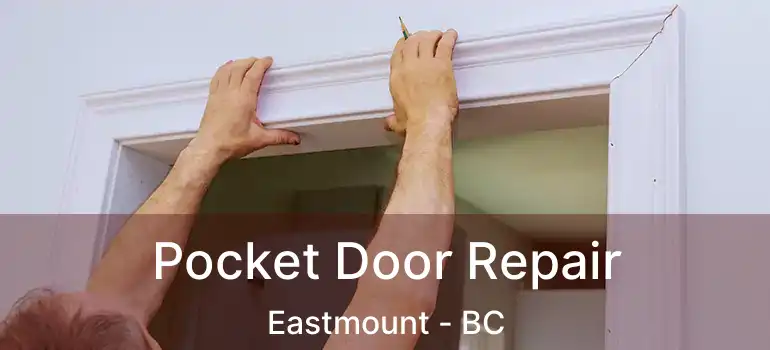  Pocket Door Repair Eastmount - BC