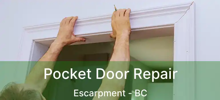  Pocket Door Repair Escarpment - BC