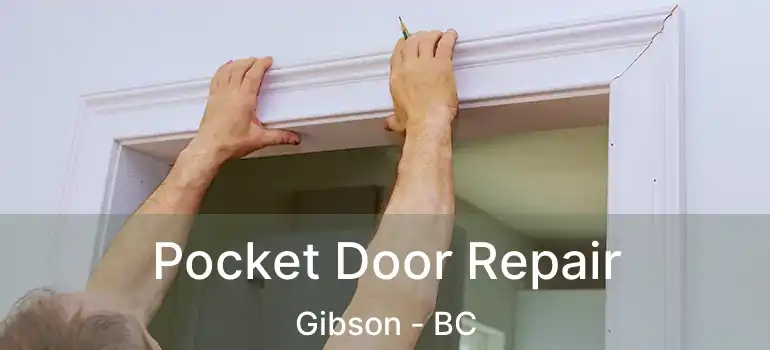 Pocket Door Repair Gibson - BC