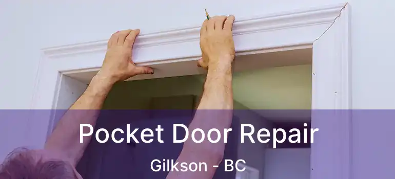  Pocket Door Repair Gilkson - BC