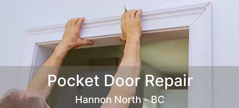 Pocket Door Repair Hannon North - BC