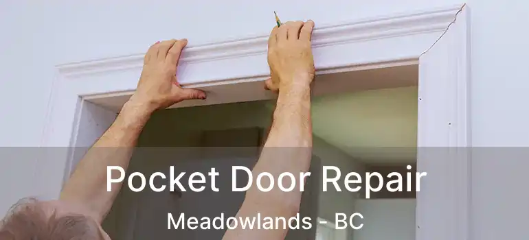  Pocket Door Repair Meadowlands - BC