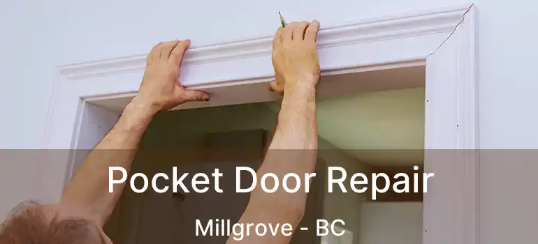  Pocket Door Repair Millgrove - BC