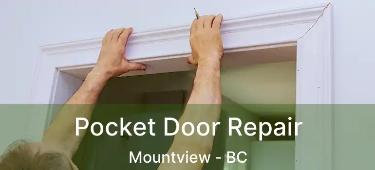  Pocket Door Repair Mountview - BC