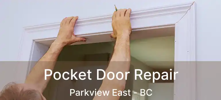  Pocket Door Repair Parkview East - BC