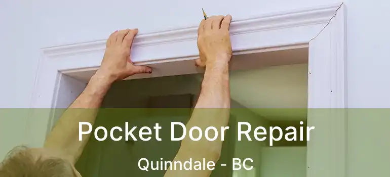  Pocket Door Repair Quinndale - BC
