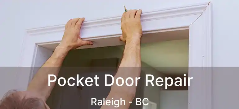  Pocket Door Repair Raleigh - BC