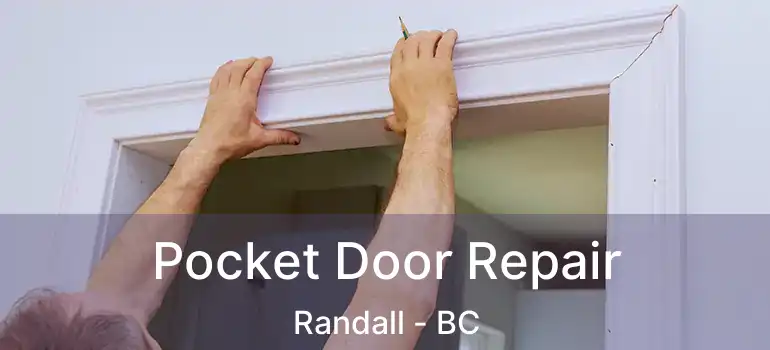  Pocket Door Repair Randall - BC