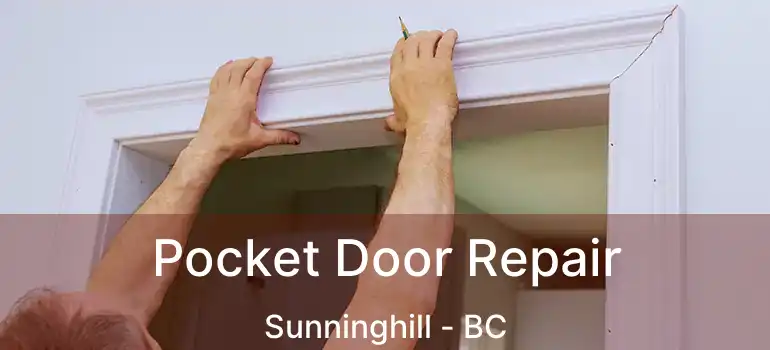  Pocket Door Repair Sunninghill - BC