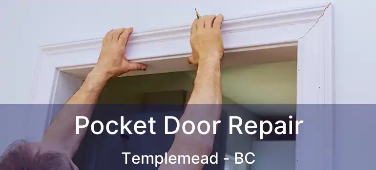  Pocket Door Repair Templemead - BC