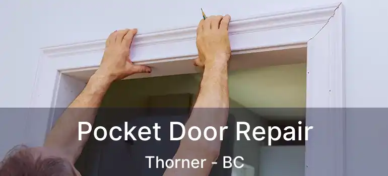  Pocket Door Repair Thorner - BC