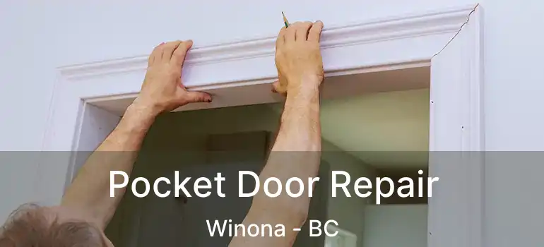  Pocket Door Repair Winona - BC