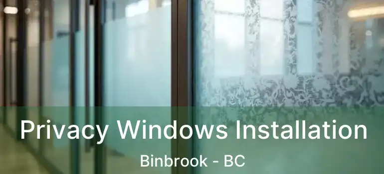  Privacy Windows Installation Binbrook - BC