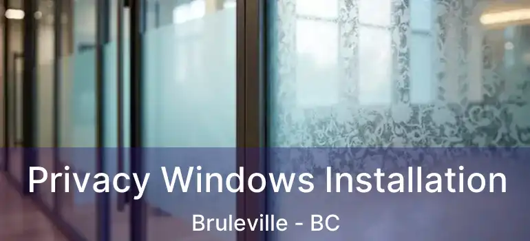  Privacy Windows Installation Bruleville - BC
