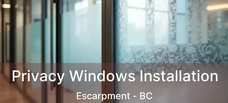  Privacy Windows Installation Escarpment - BC