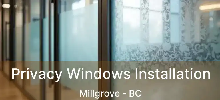  Privacy Windows Installation Millgrove - BC