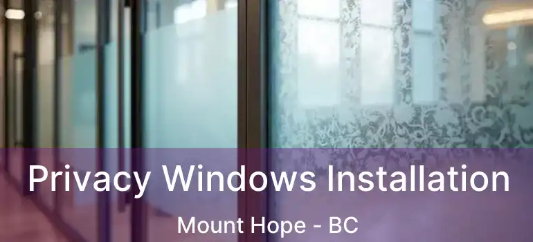  Privacy Windows Installation Mount Hope - BC