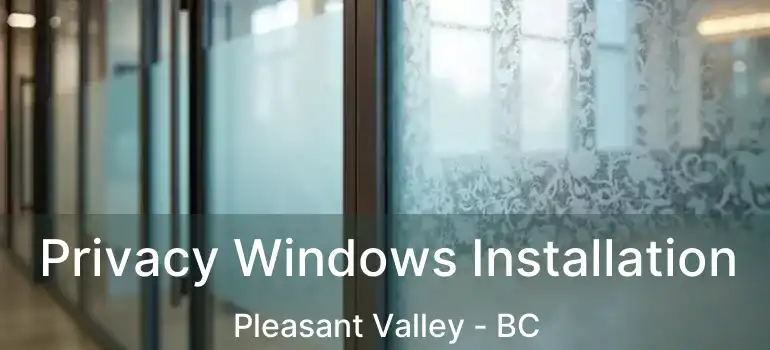  Privacy Windows Installation Pleasant Valley - BC