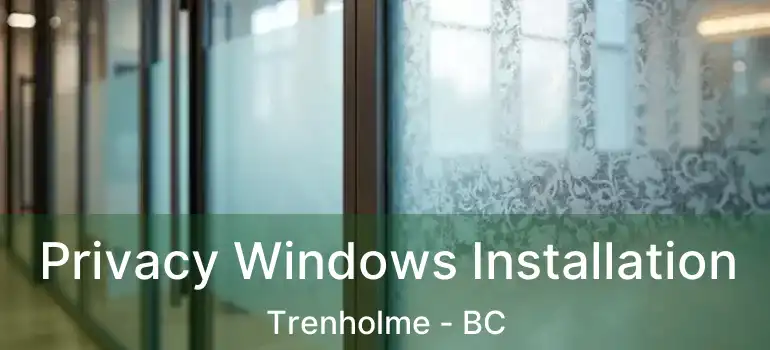  Privacy Windows Installation Trenholme - BC
